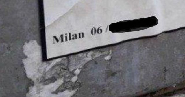 8b6781a8 dec8 4a06 a282 07bce1218842