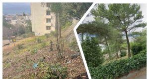 MixCollage 09 Jan 2025 05 00 PM 4661