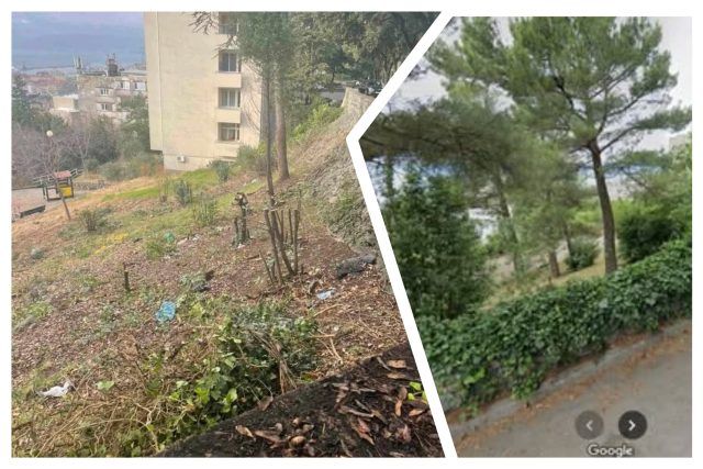 MixCollage 09 Jan 2025 05 00 PM 4661