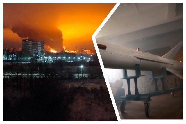 MixCollage 11 Jan 2025 08 42 AM 9560