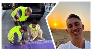 MixCollage 21 Jan 2025 06 48 PM 7029