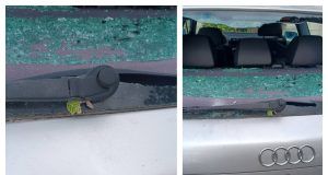 MixCollage 30 Jan 2025 10 54 AM 5577