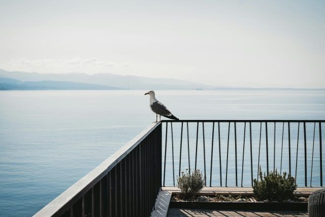 pexels claudia schmalz 3928374 5869756