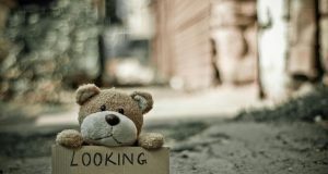 pexels murrrchalla 165263