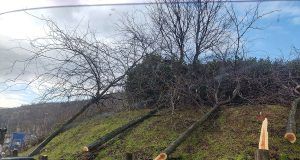 received 823470793241023