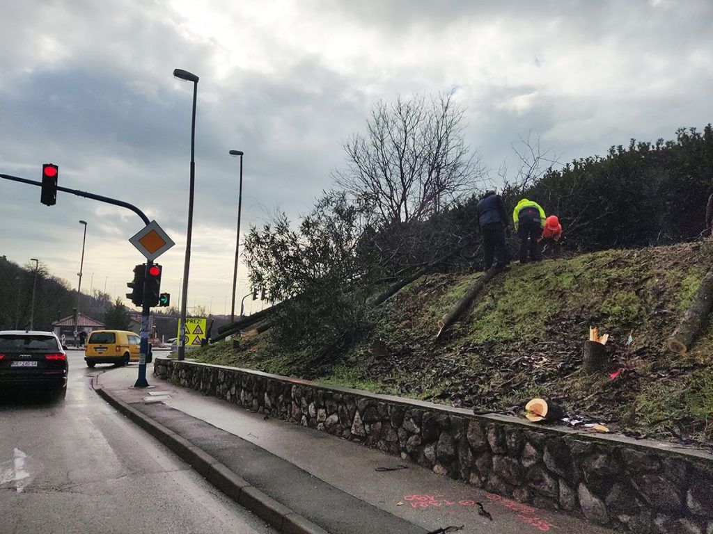 received 931394882472831