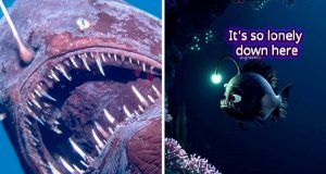 01345d68 2ca6 4ab5 89f1 d2feb5e3f1c6