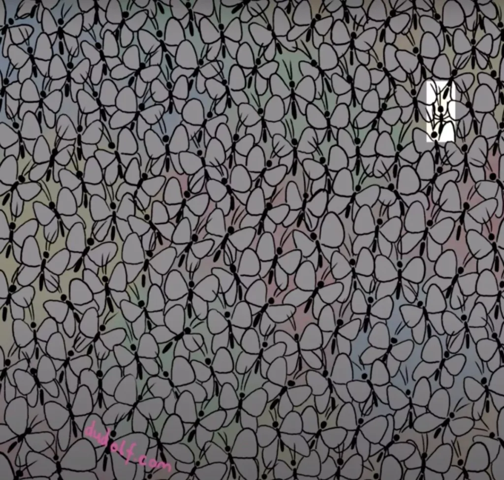 0 Almost nobody can find hidden ant among butterflies in crowded brainteaser (2)
