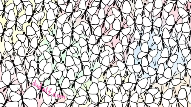 0 Almost nobody can find hidden ant among butterflies in crowded brainteaser