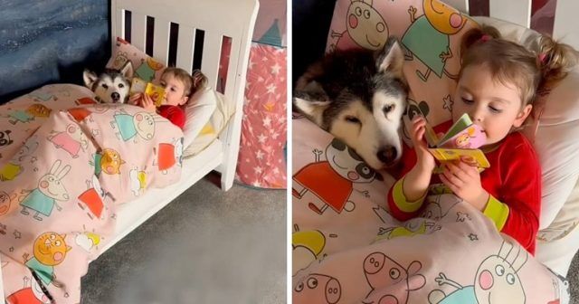 459ed420 bbf0 446f 9d38 b4baad05c342