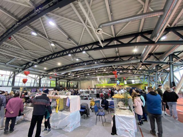 472895574 2121343624950708 6428940818248695799 n 472895574 2121343624950708 6428940818248695799 n