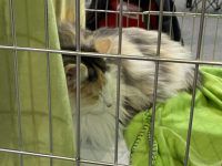 475485442 1833382200788733 2361822466121173502 n