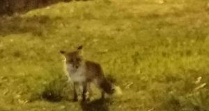 475764772 1669292213692013 6082483863983084653 n