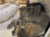 476912745 9218762681550340 7715331450993736723 n