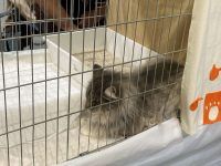 480019584 1693623578219351 833271800972865085 n