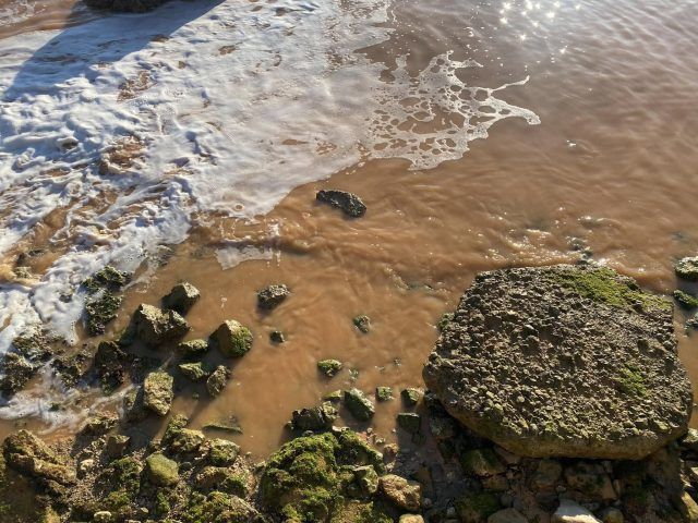 480066530 10232020065596983 5484195789021490465 n