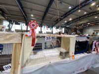 480381788 1123387399578790 5186363088830630181 n