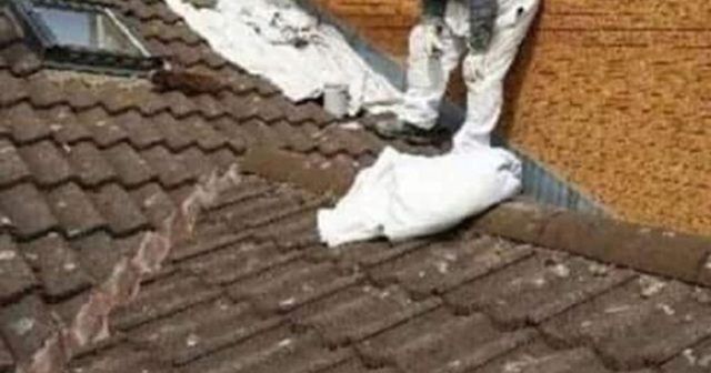 5cc479fb fb1c 456c ad4f 0ccf87c648ed (1)