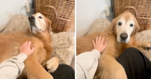 66e480e5 7177 4202 aa45 e767b2b961ac