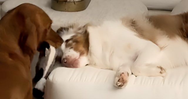 745d16bc 20b1 4e75 8a15 45907a068df2