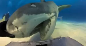 768x432 ba054e7c 9d09 11eb 870c cedfb09875dd