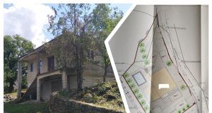 MixCollage 04 Feb 2025 02 48 PM 1094