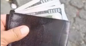 de795537 807a 47e7 a824 b98e581be053