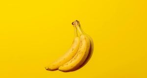 pexels apasaric 2872755