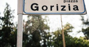 pexels shvets production 7946967