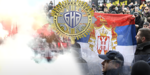 1133682 tordica srbija f