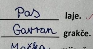 18cb86a0 065e 4d69 bf96 5452799787e3