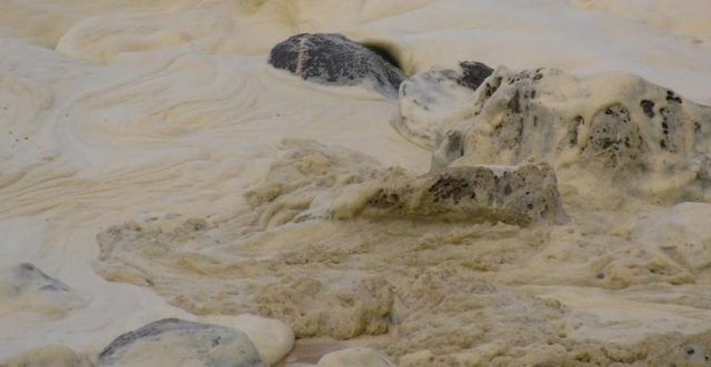 1a8519f7 c95d 4b0a 91f4 38d28e59c576