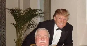 363a245d 4bc4 4cb4 abf1 49b6b64d5d33