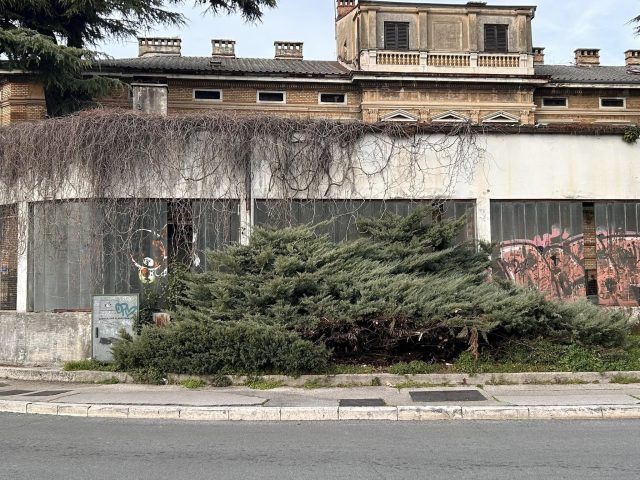 480884624 666659809267660 8134949394987852400 n