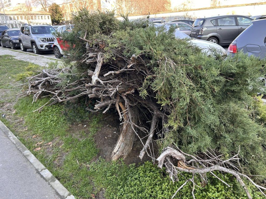 482082811 666659849267656 5295727411143581131 n