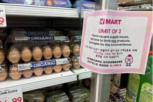 483340369 631837746292756 7511547498903730010 n