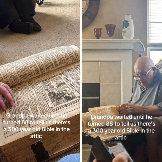 b0d07078 98e2 4d6b 8c39 958e5d2bf5f5