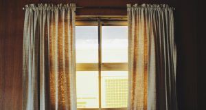 pexels carlos caamal can 13734 910458