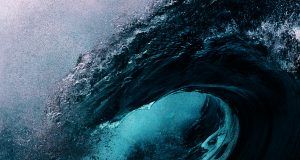 pexels earano 2127969