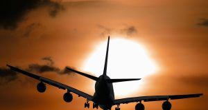 pexels pixabay 104826