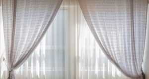 pexels pixabay 462197