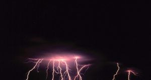 pexels pixabay 66867 (1)