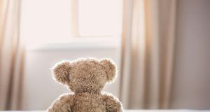 pexels teresa howes 236601 860882