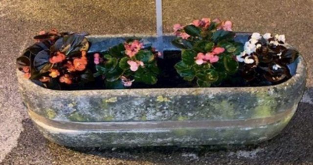 0c2a371b 6d3e 42b0 9a3b aced5bf32679