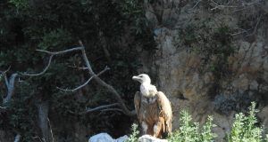 53805682431 efafb42bd6 k