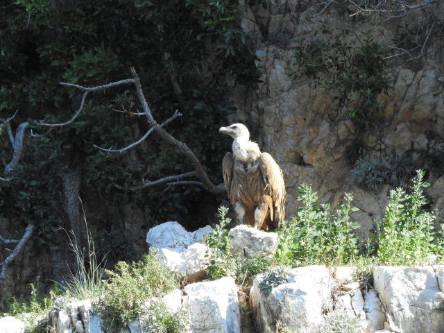 53805682431 efafb42bd6 k