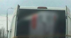 821e9e39 2131 4a48 93a3 5b6b39102705