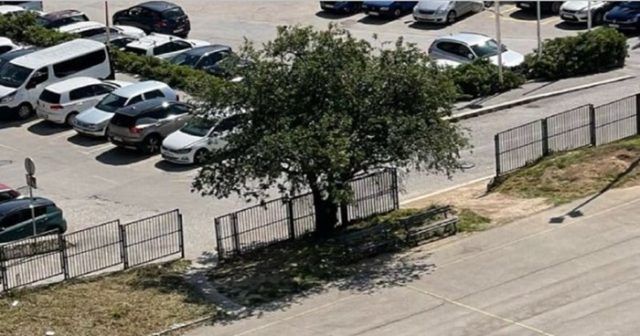 a3d75e0b b590 416d bbd0 84a5b2b2b91d