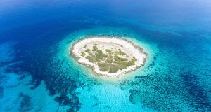 pexels invisiblepower 1076888 (1)