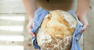 pexels pixabay 263168